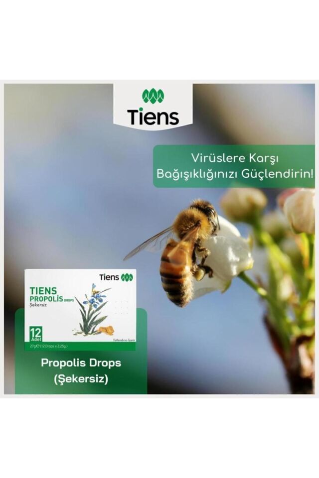 Propolis Drops (ŞEKERSİZ) Tatlandırıcı Içerir